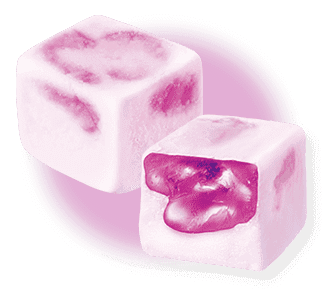 Cross section of GUMMY