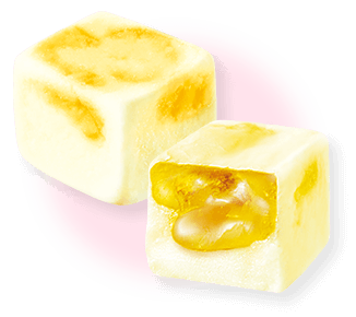 Cross section of GUMMY