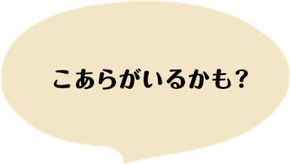 コアラがいるかも？