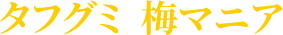 タフグミ 梅マニア
